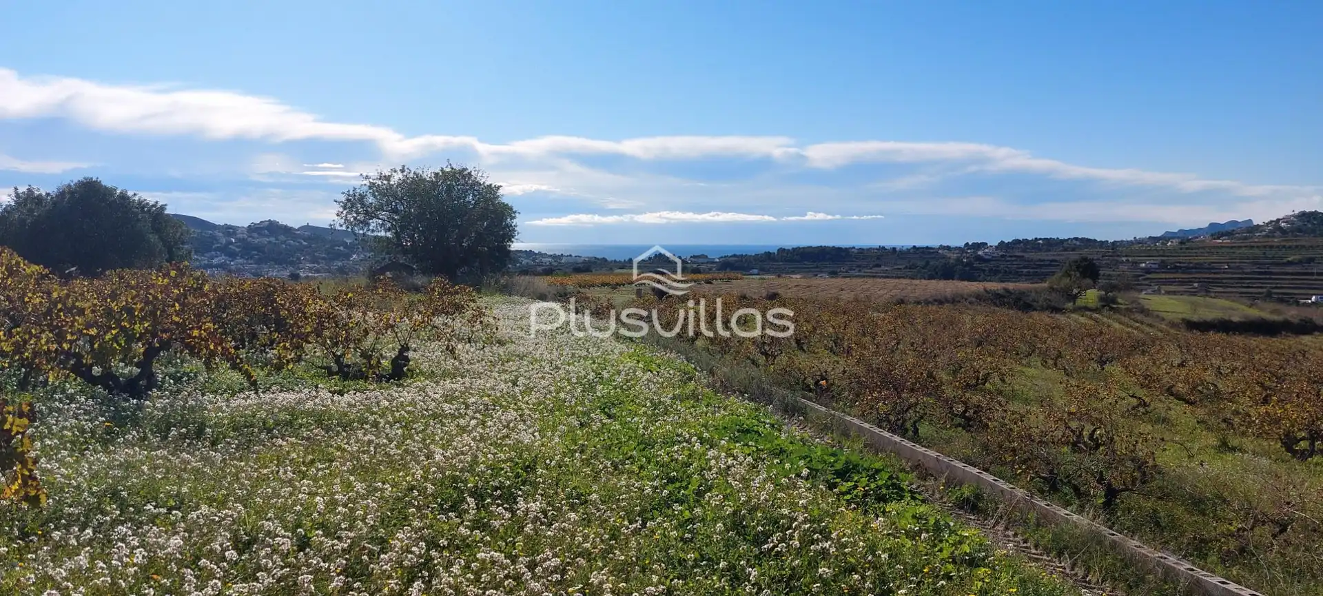 Terrenys i solars en venda a Teulada, imagen 2