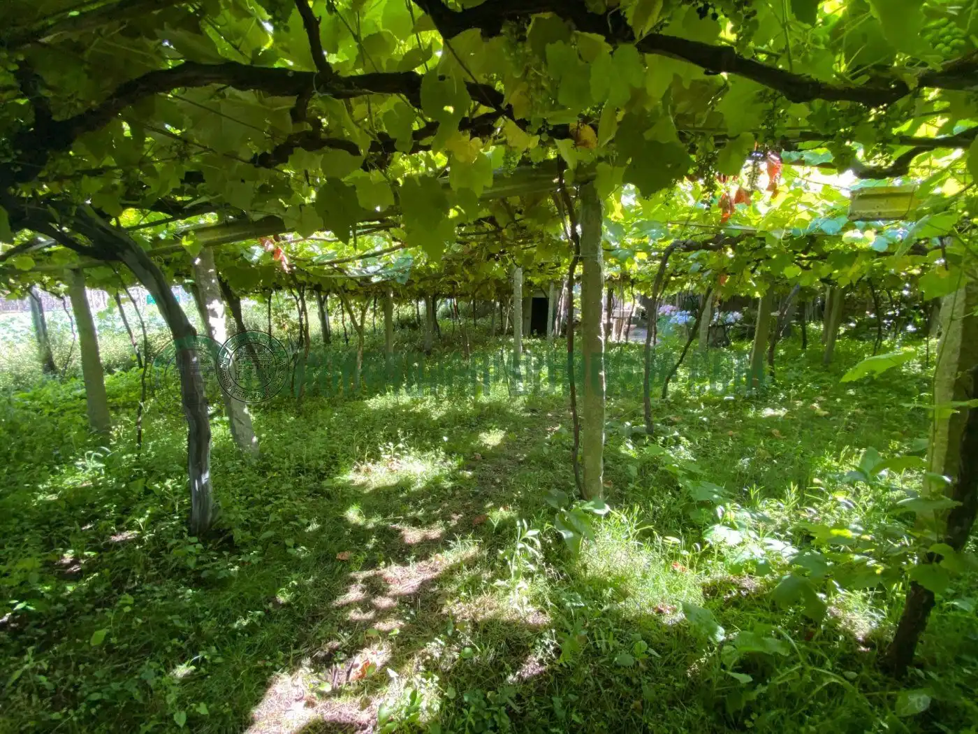 Finca rústica en venta en San Xoán de Poio