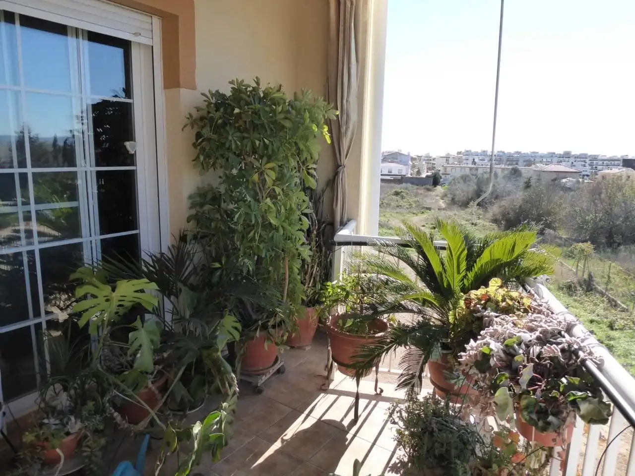Maison à vendre à Alcanar, imagen 4