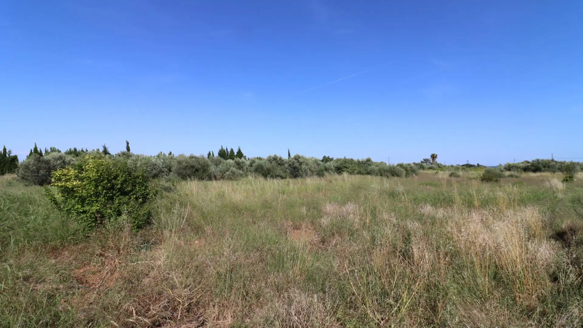 Terreno rústico en venta en Alcanar, imagen 10