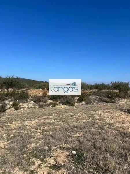 Grundstücke und Bauplätze zum Verkauf in Polígono parcela 593 9, imagen 2