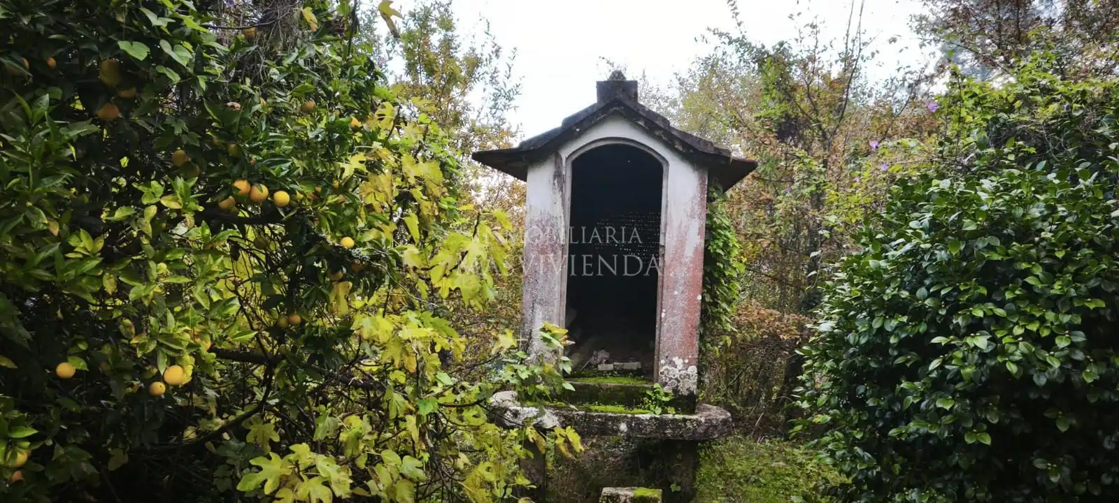 Terreny rústic en venda a Bouza (A)-Pontellas, imagen 16