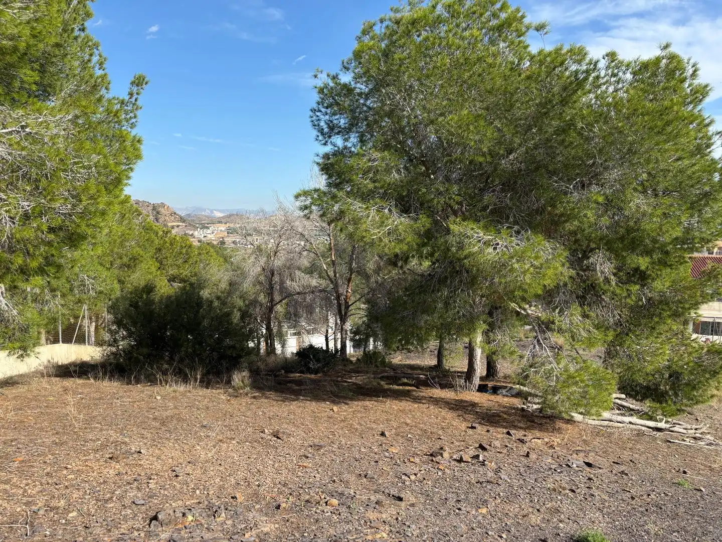 Residencial en venda a El Esparragal