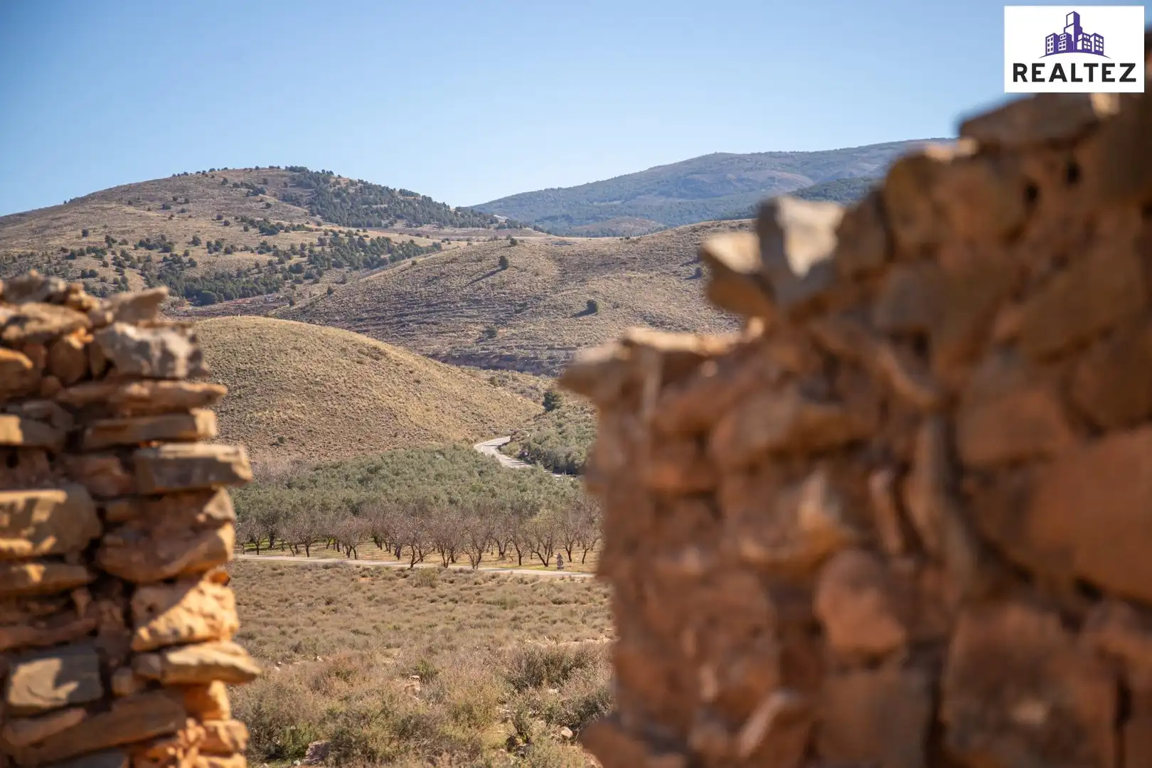 Terrain rustique à vendre à Alcolea, imagen 5