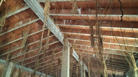 BAJADA DE PRECIO, NAVEALMACÉN EN BOLBAITE, imatge 5