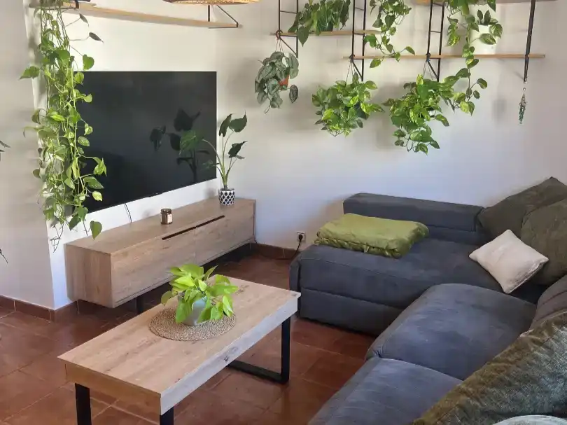 Sala d'estar de Casa o xalet en venda en Cogolludo amb Jardí privat i Traster