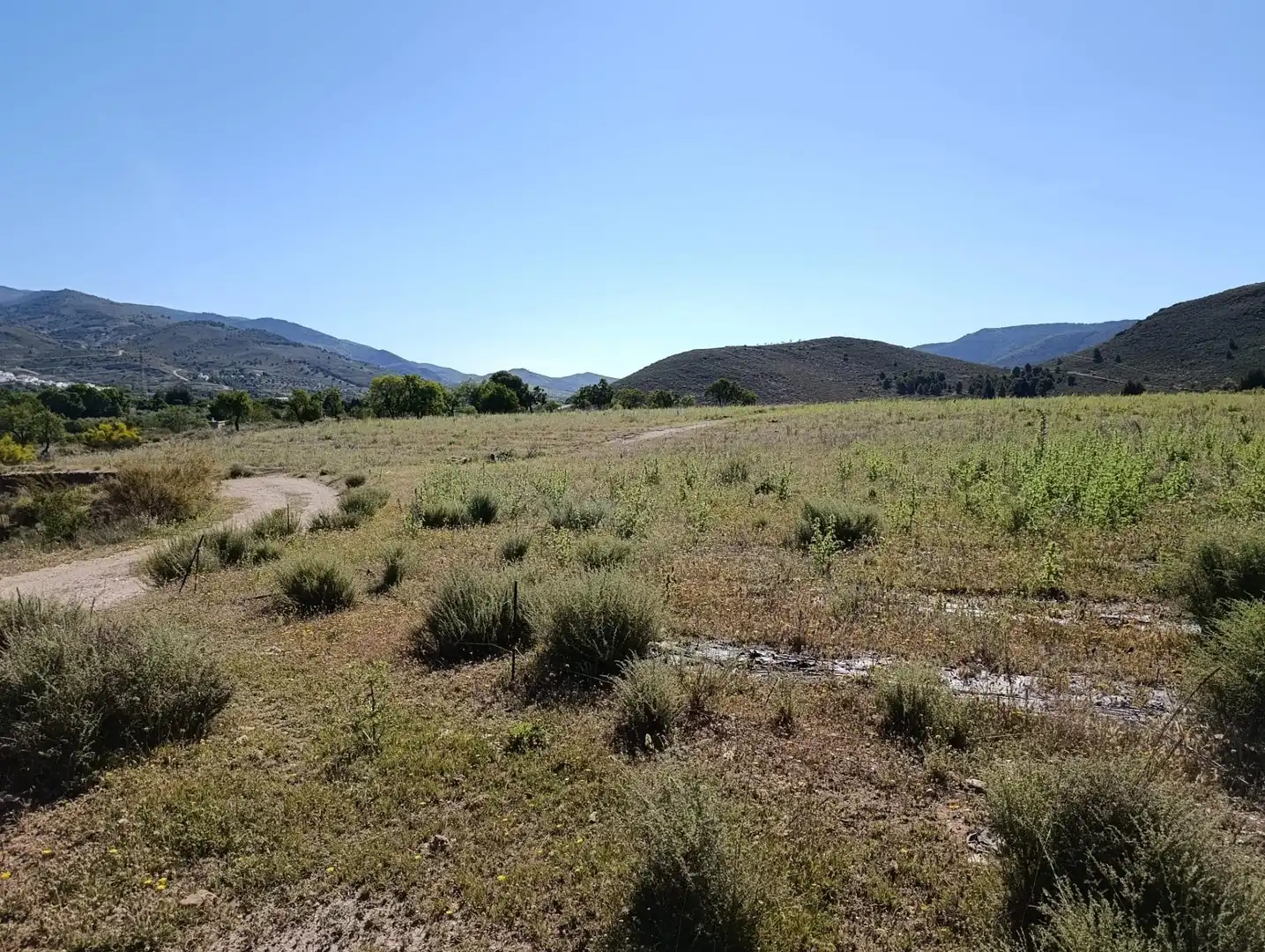 Rural land for sale in Laujar de Andarax, imagen 19