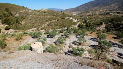 Foto 3 de Finca rústica en venda a Los Tablones - La Garnatilla, Granada