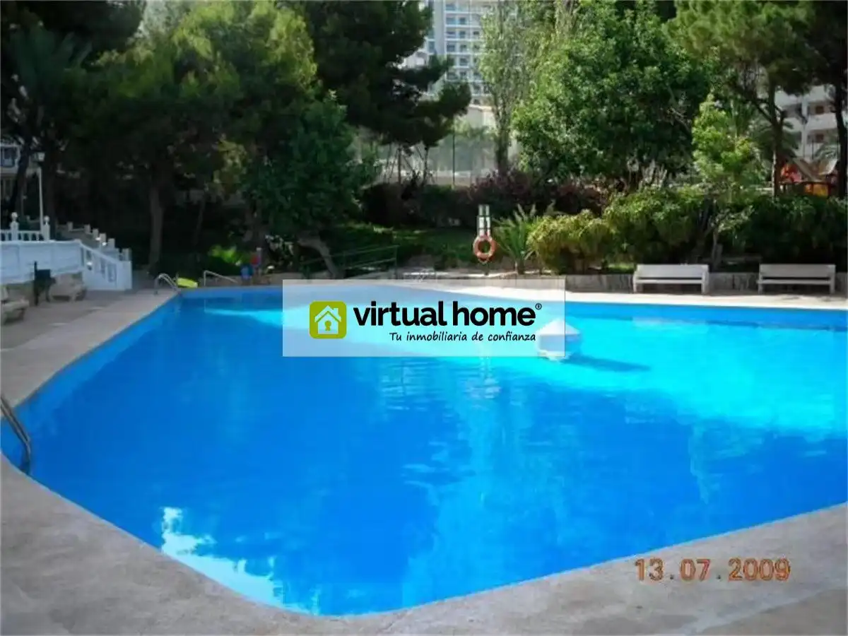 Swimming pool of Study for sale in Benidorm  with Private garden and Community pool