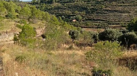 Foto 2 de Finca rústica en venda a Carrer Freginals, 11, Corbera d'Ebre, Tarragona