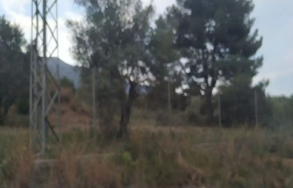 Terreno rustico in vendita a C/ La Punta o Fonda, imagen 7