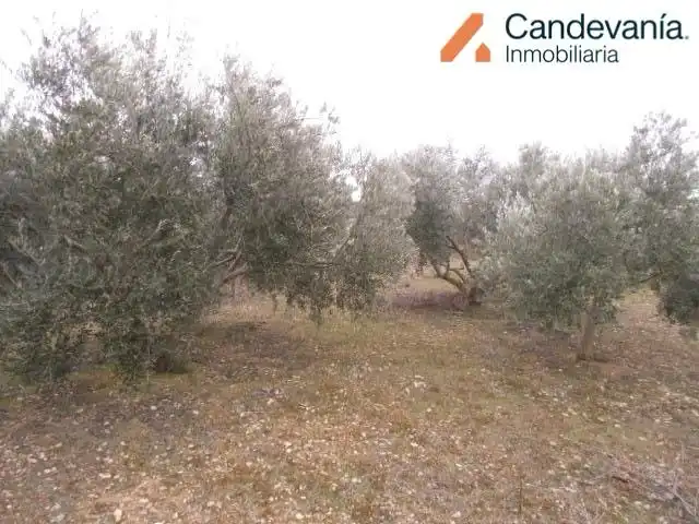 Terreno rustico in vendita a San Mateo de Gállego, imagen 3