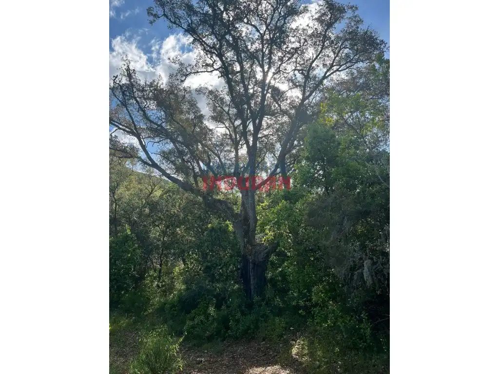 Country homes for sale in Castañar de Ibor