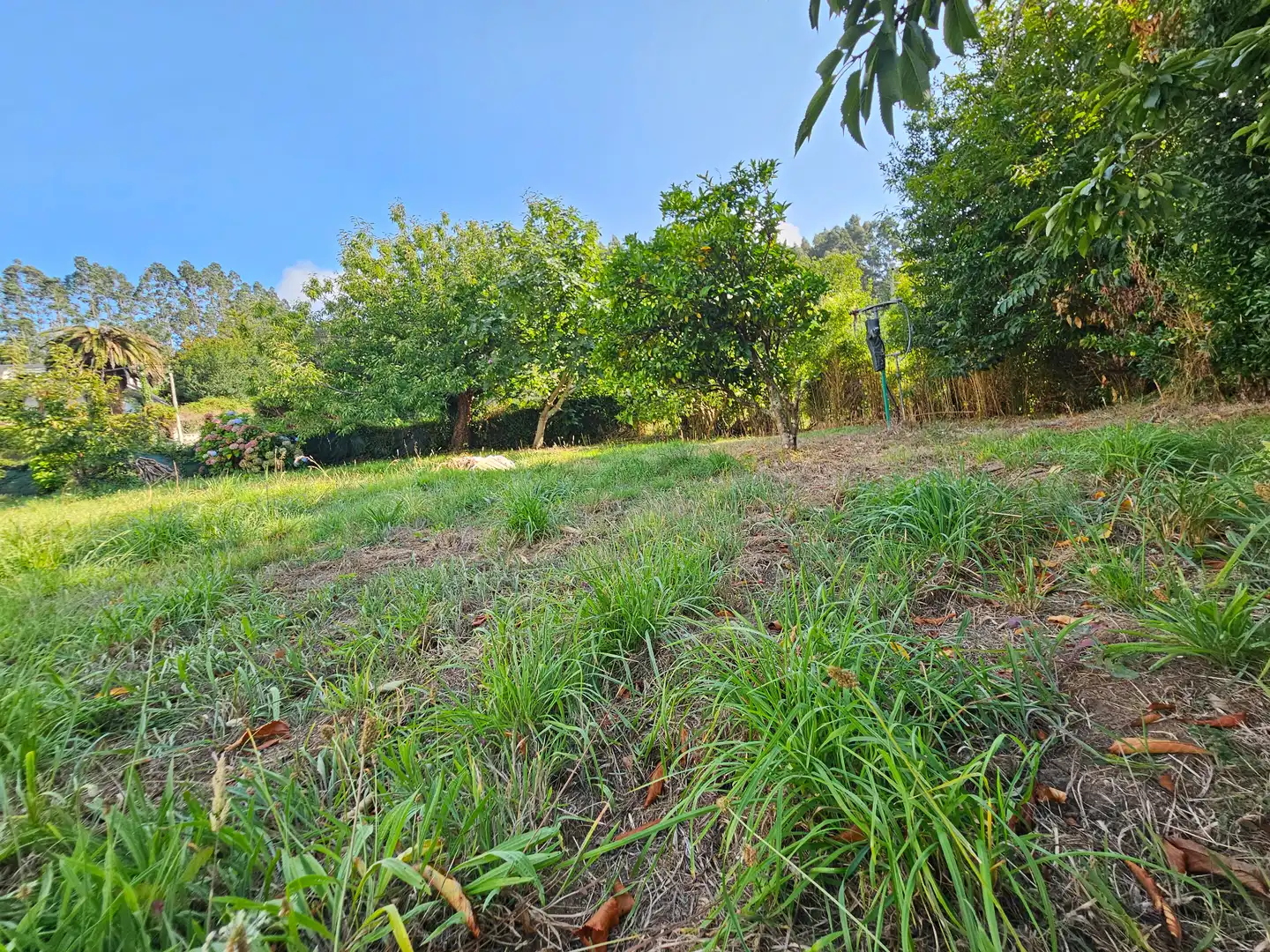 Home with garden for sale in Lugar Cordobelas 4, imagen 59