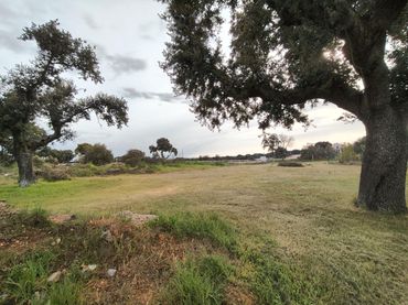 Terreno residencial en venta en Carrascal de Barregas
