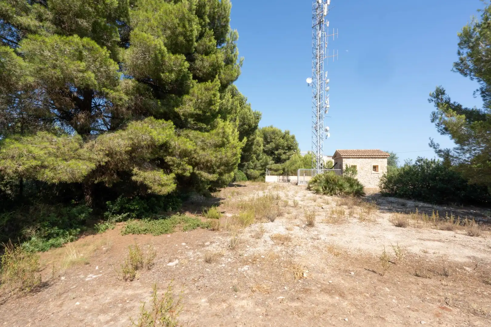 Residential land for sale in Centro ciudad, imagen 6