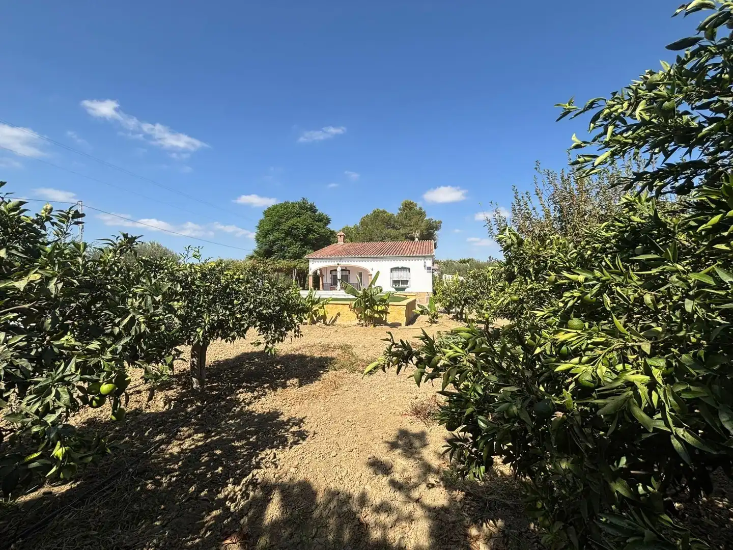 Casa rústica amb piscina en venda a Camino de Los Javieles