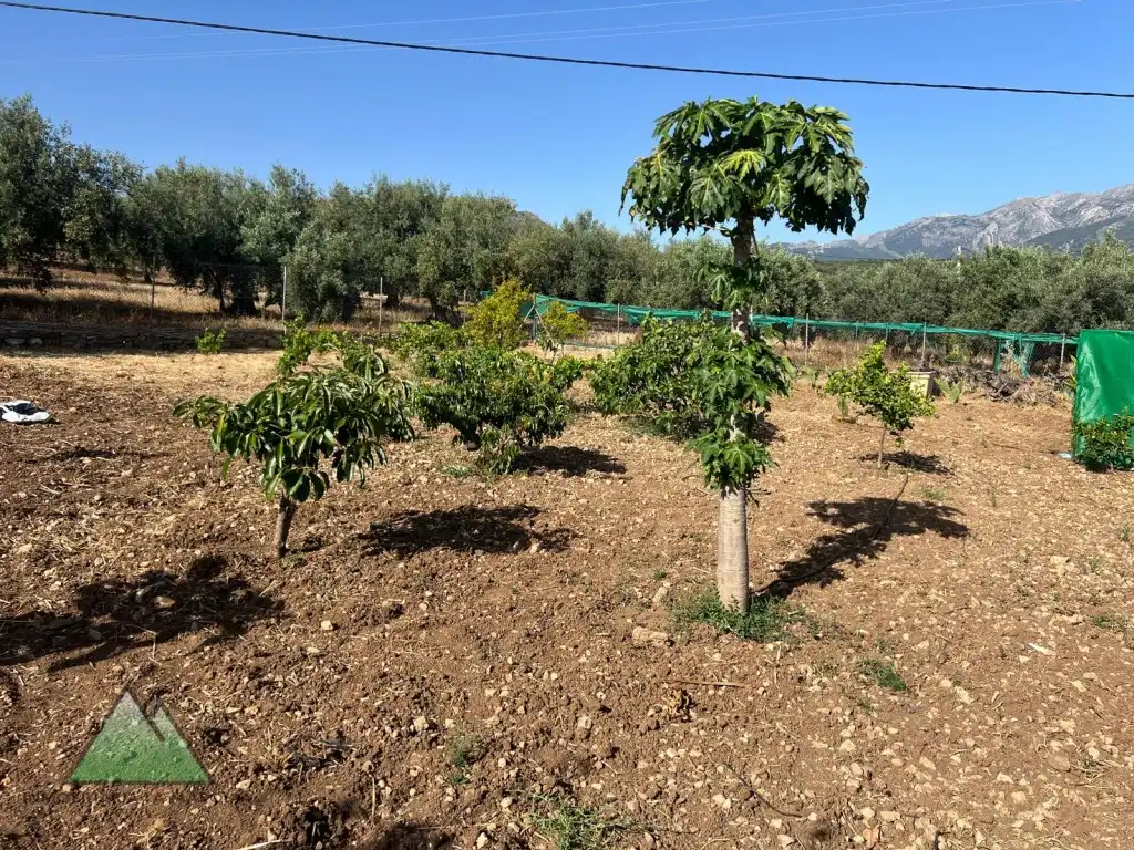 Casa rustica in vendita a Periana, imagen 21