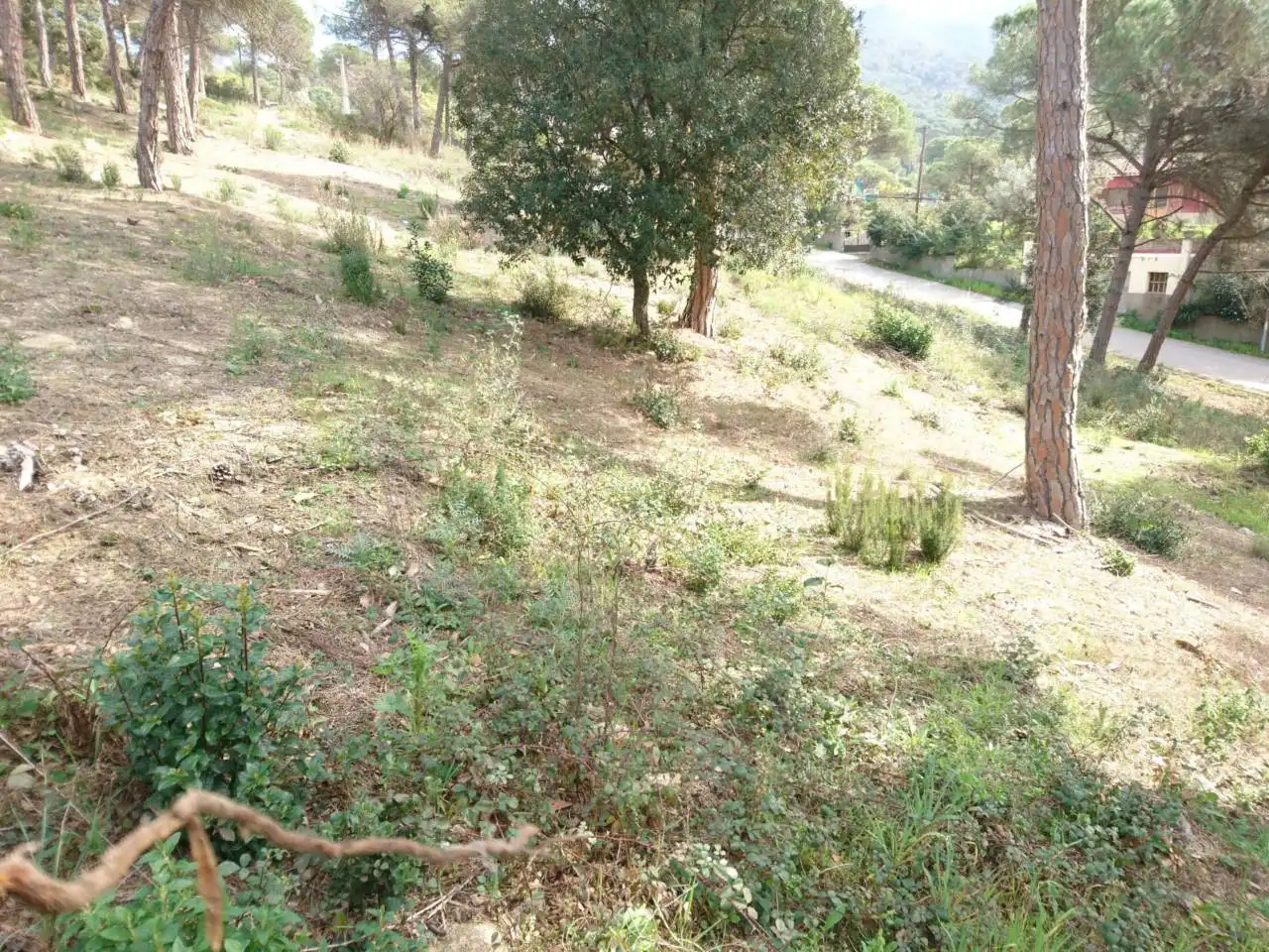 Terreny residencial en venda a Vilanova del Vallès, imagen 27