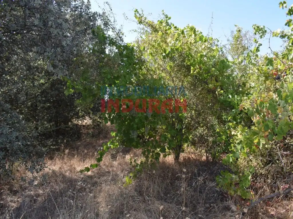 Haus zum Verkauf in Peraleda de la Mata, imagen 7