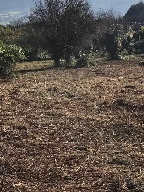 Terrenys i solars en venda a C/ Carretera de Castilla, imagen 7
