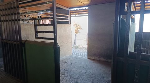 Foto 4 von Residential zur Miete in Calle el Brezal, 40, Cruz Santa, Los Realejos