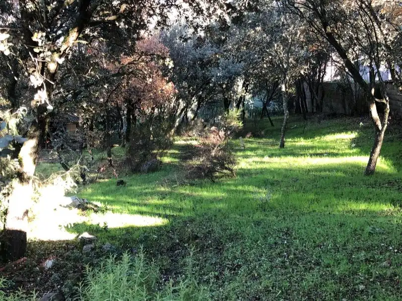 Wohnbaugrundstück zum Verkauf in Calle la Encina 267, imagen 5