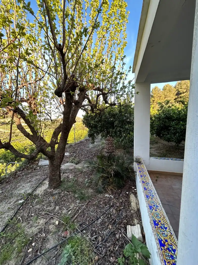 Jardí de Finca rústica en venda en Oliva amb Moblat