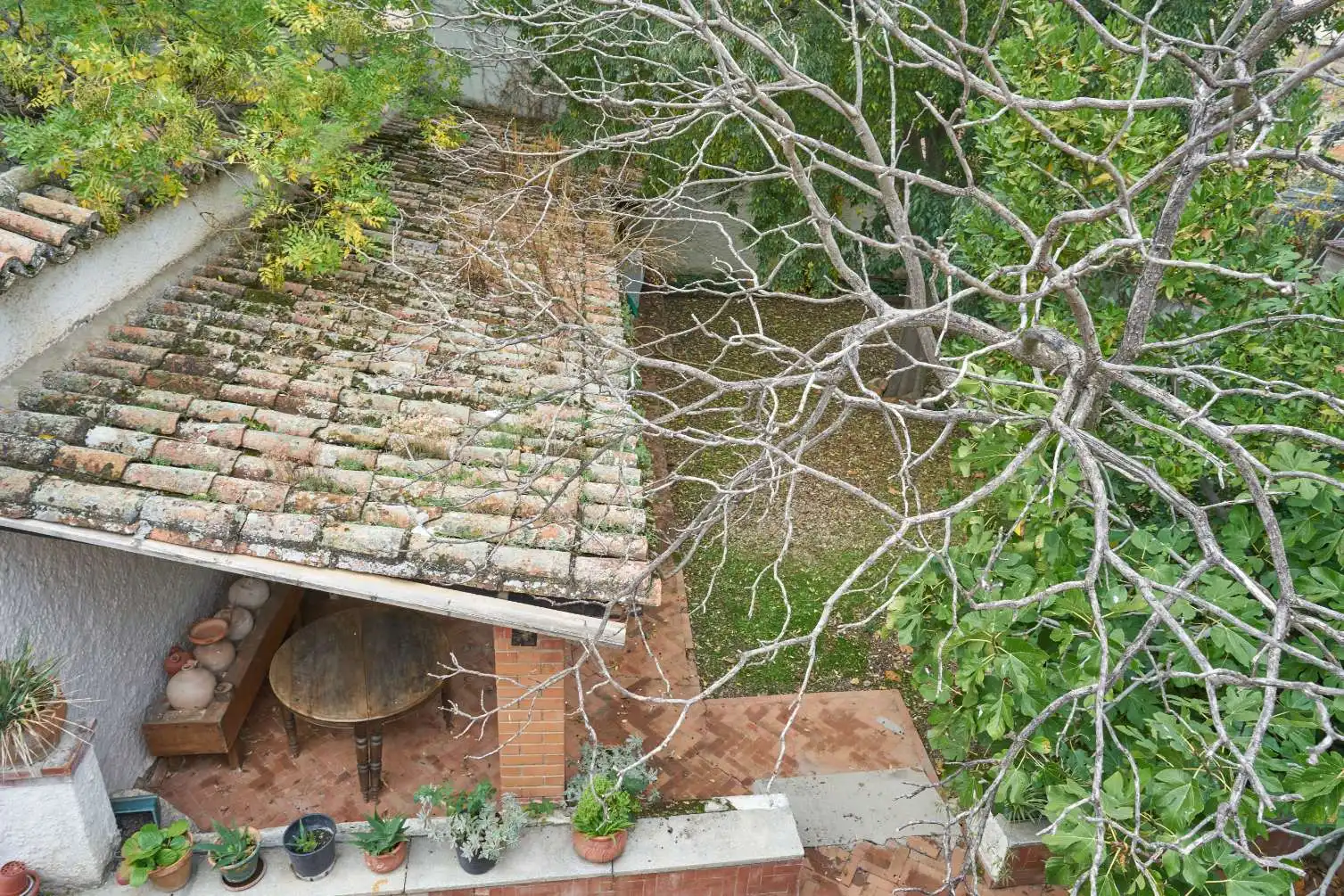 Garden of Detached homes for sale in Valdetorres de Jarama  with Private garden, Terrace and Swimming Pool