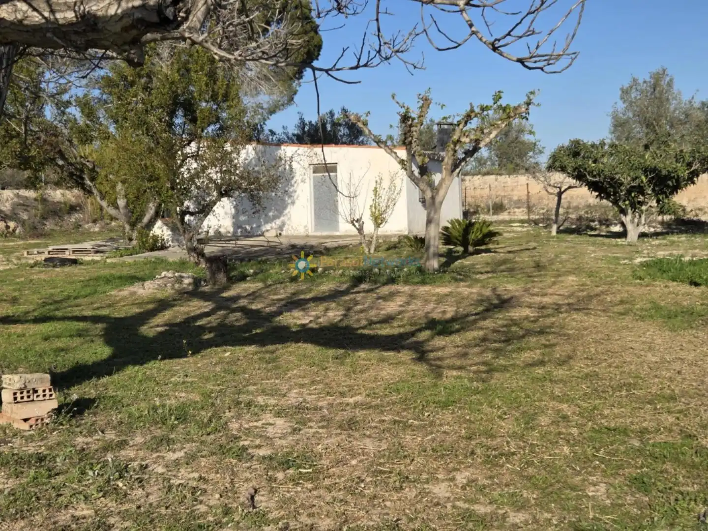 Terreny rústic en venda a L'Olleria