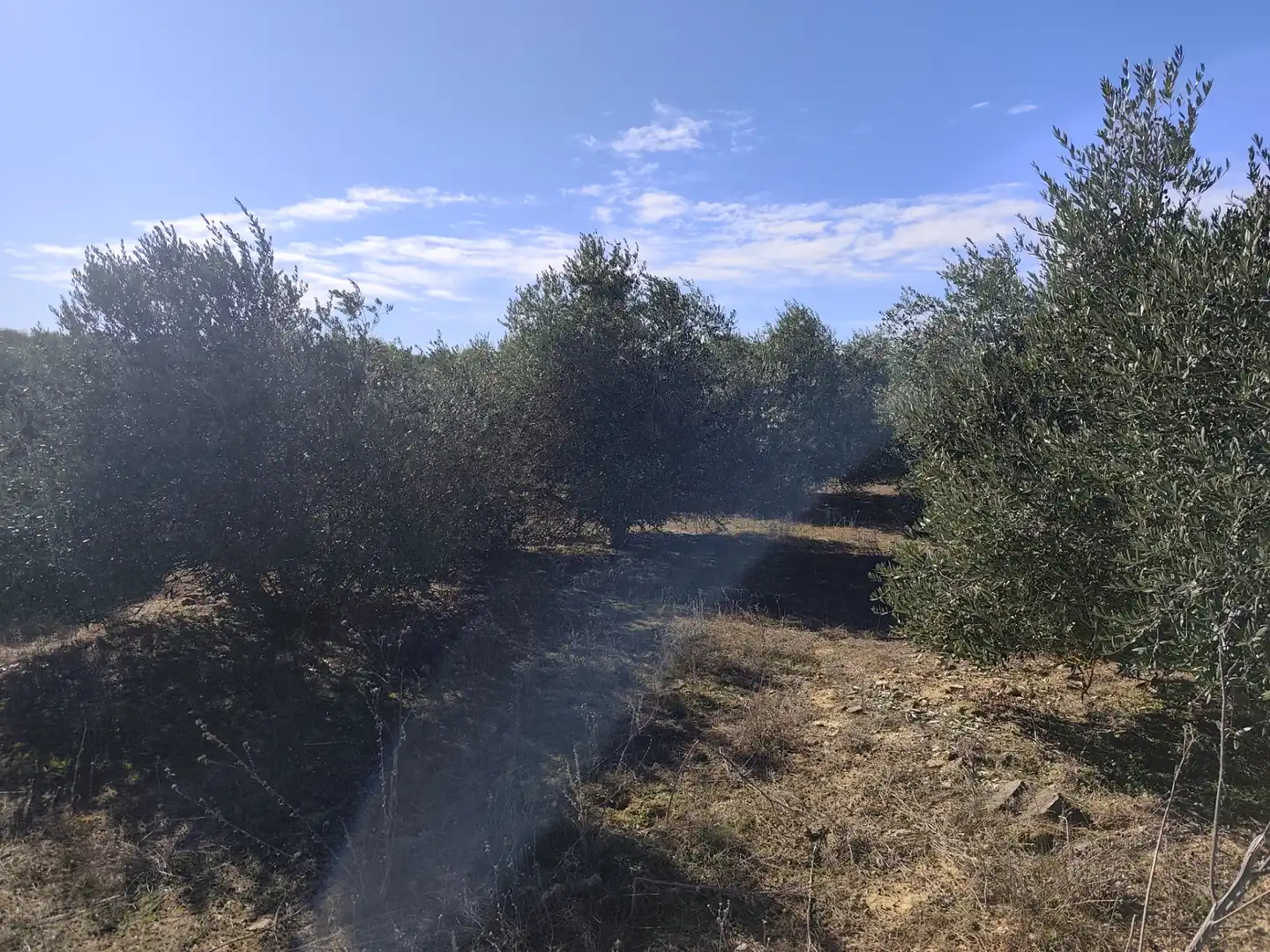 Terreny rústic en venda a Les Borges Blanques, imagen 15