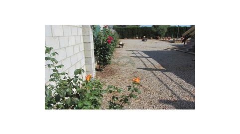 Casa de Campo, Piscina, Garaje, Trastero, Huerto, immagine 3
