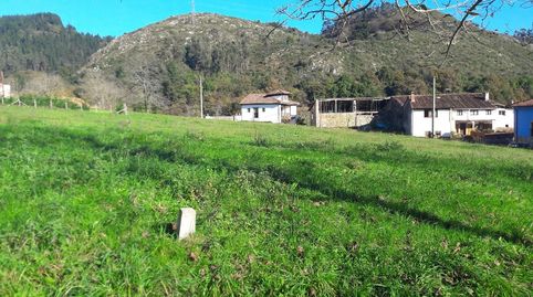 FINCA EDIFICABLE CERCA DE ARRIONDAS, immagine 4
