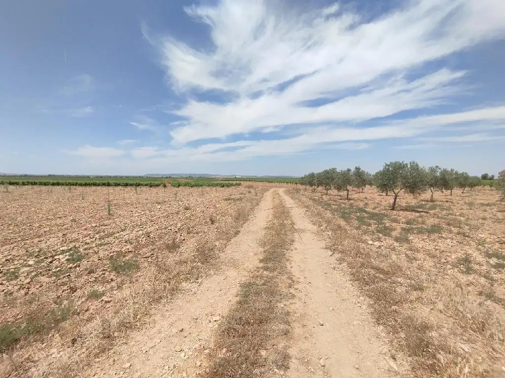 Terreno rustico in vendita a Membrilla, imagen 4