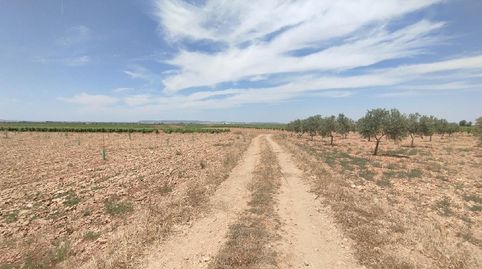 PARCELA DE VIÑAS CON POSIBILIDAD DE EDIFICAR, immagine 4