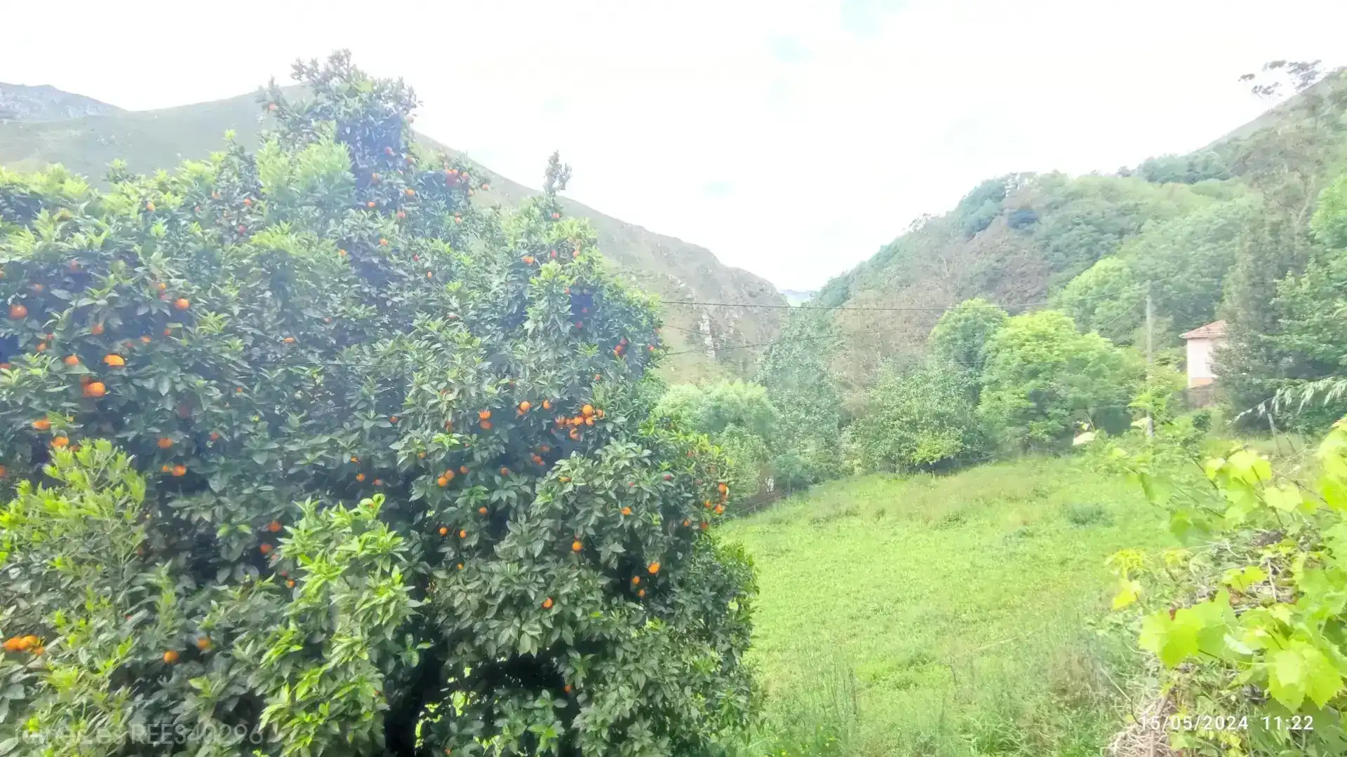 Casa o xalet en venda en Grado amb Jardí privat