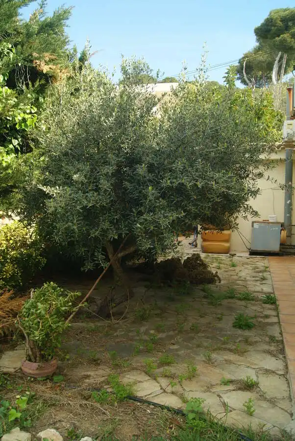 Maison avec piscine à vendre à Pla de Maset - Cap de Salou, imagen 16