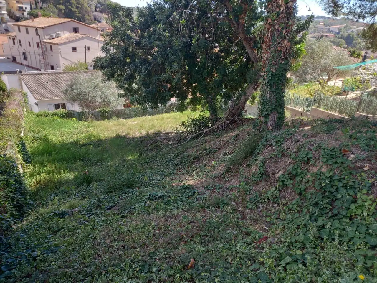 Terrain rustique à vendre à Calle HORTENSIA 13, imagen 4