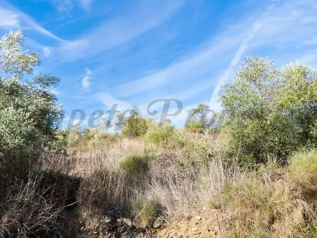 Terreni e lotti in vendita a Torrox Pueblo, imagen 2