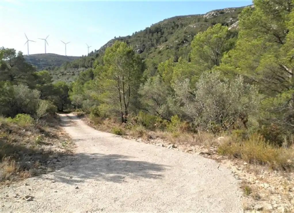 Rustikales Grundstück zum Verkauf in ZONA DISSEMINAT DEL COLL DE LALBA, imagen 12