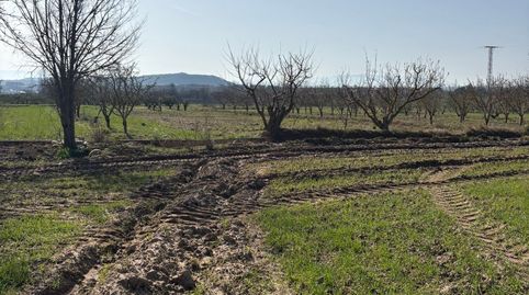 Finca de regadío, imagen 3