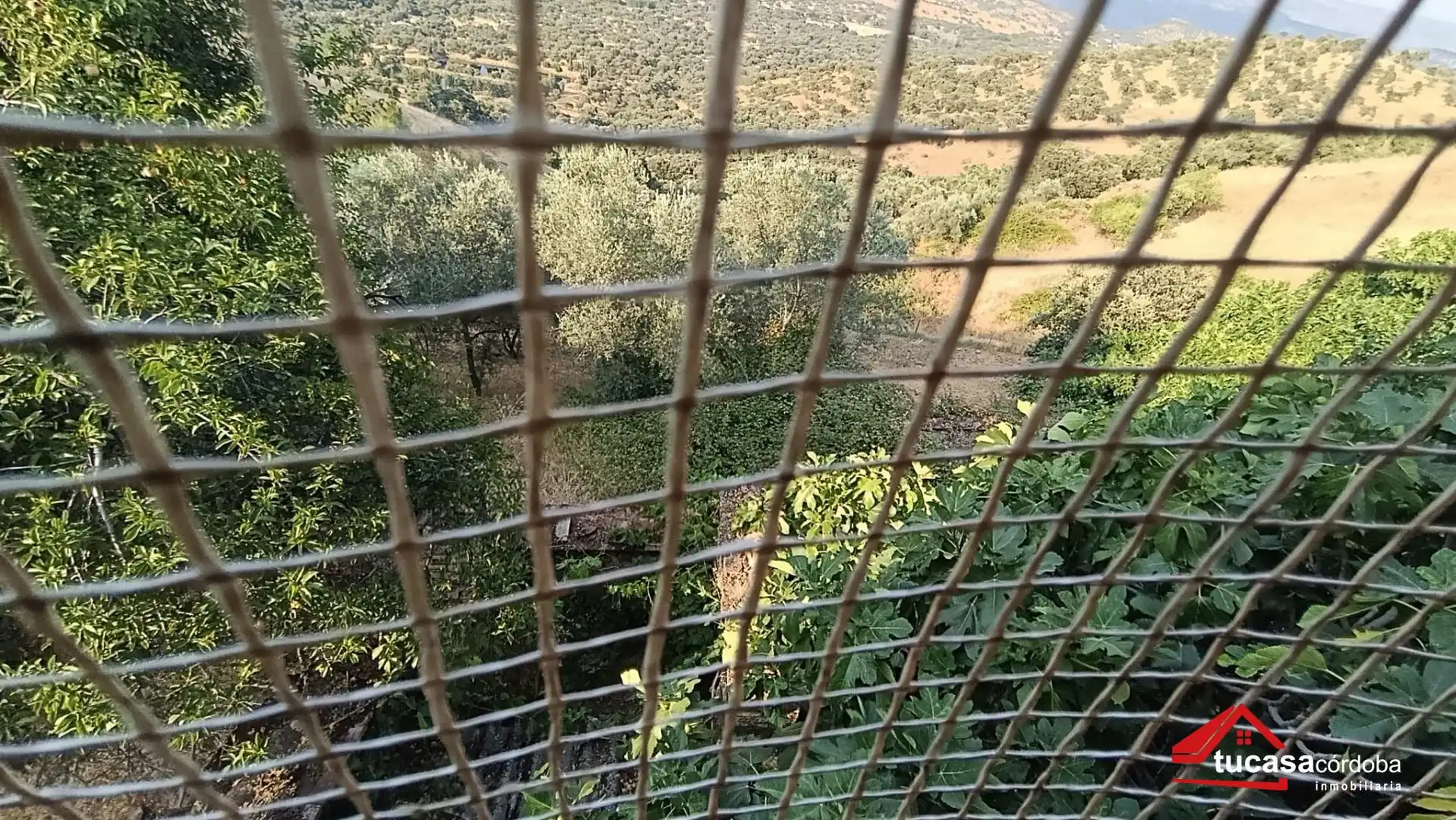 Casa o xalet en venda a Obejo