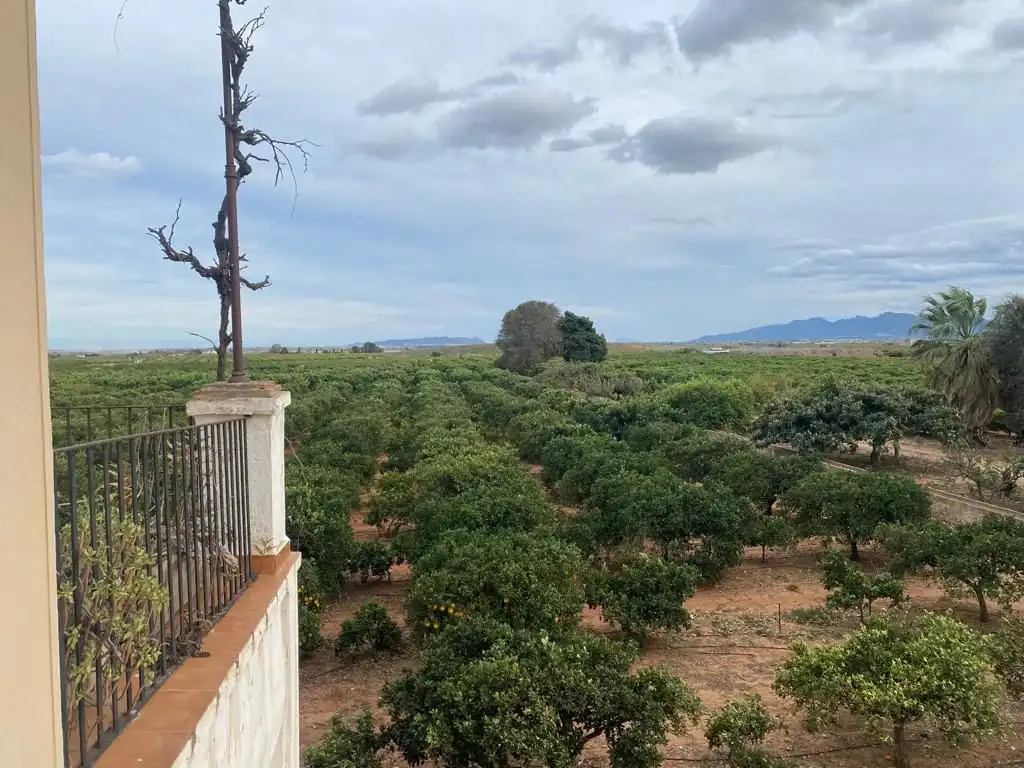 Finca rústica en venta en Benifaió con Jardín privado, Terraza y Trastero