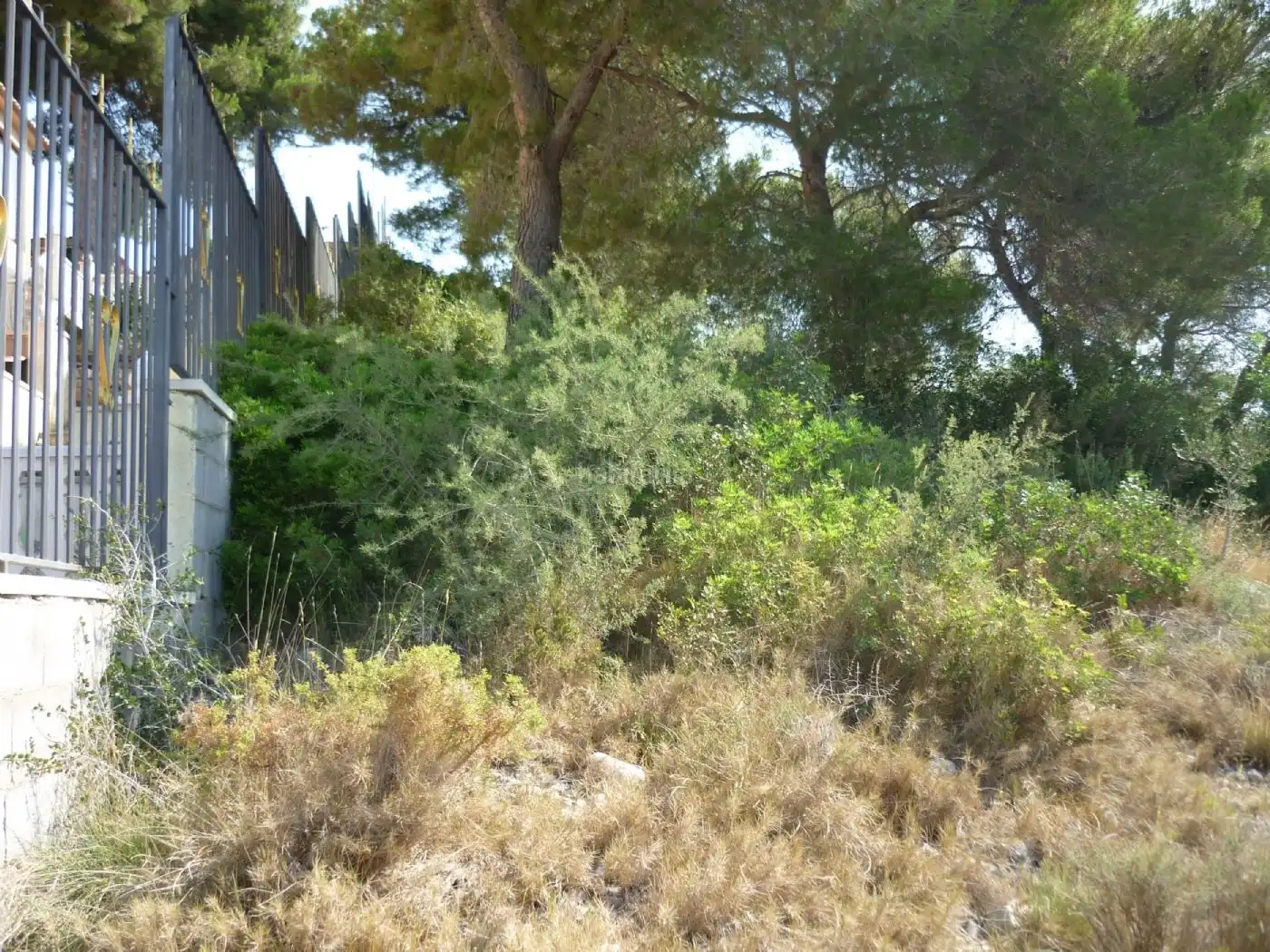 Terreno residencial en venta en Carrer Farigola 4, imagen 3