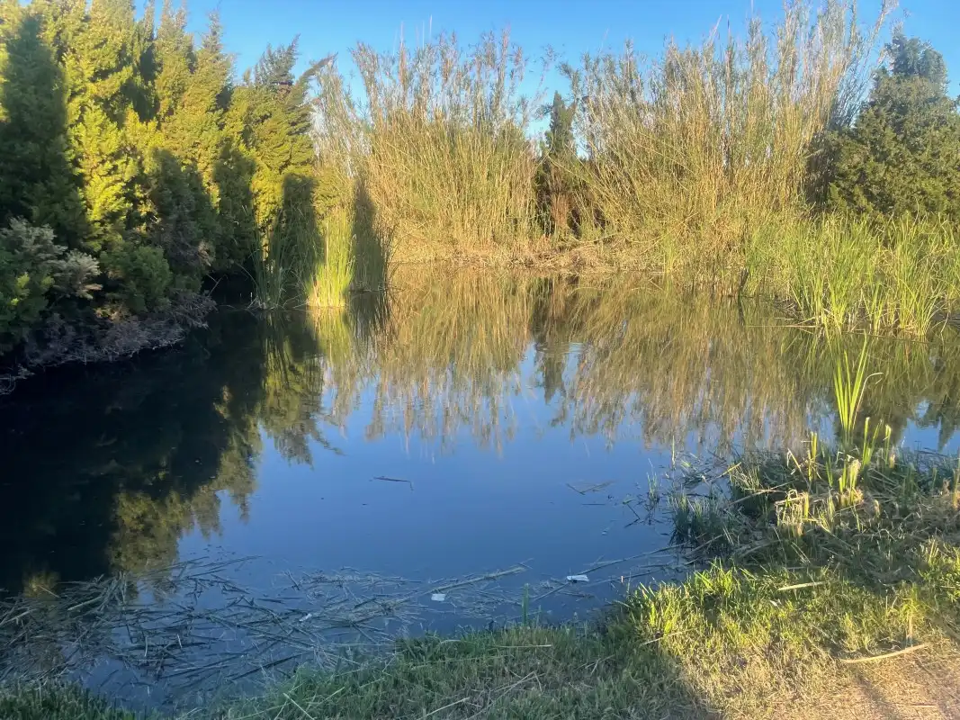 Grundstücke zum Verkauf in Gandia