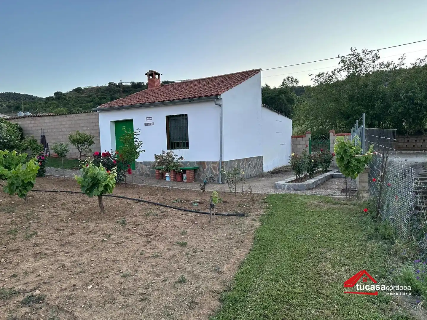 Terreno rustico in vendita a Villanueva del Rey, imagen 38