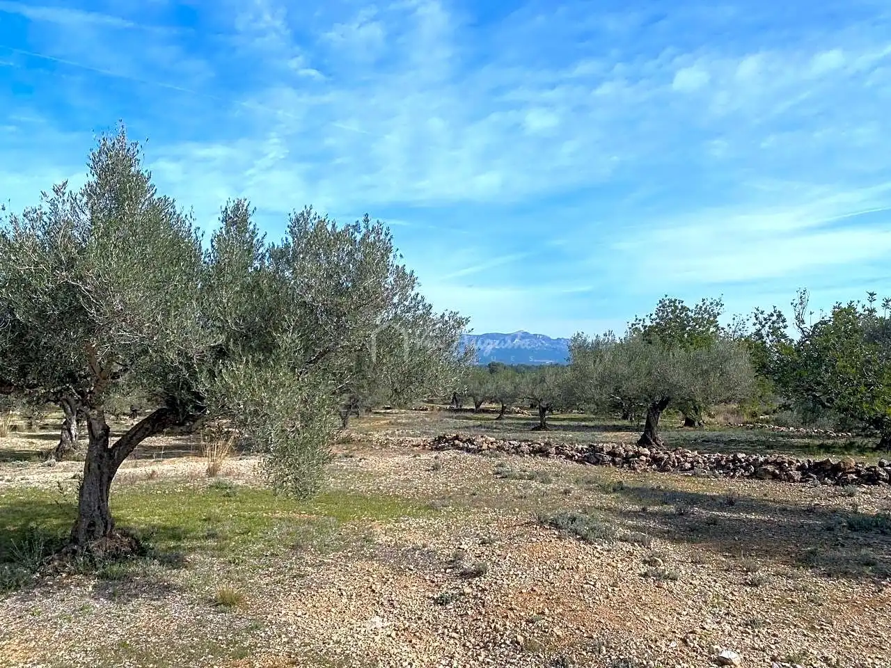 Terreno rustico in vendita a Planas, imagen 4