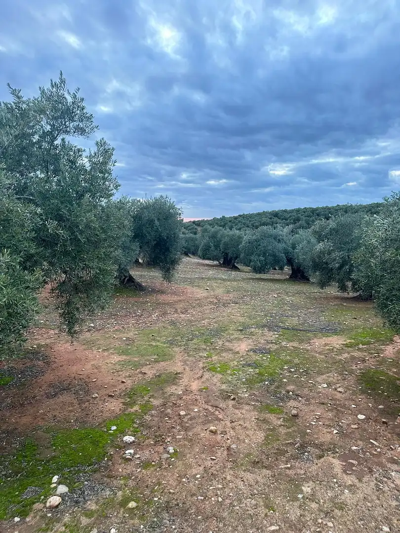 Grundstücke zum Verkauf in Andújar