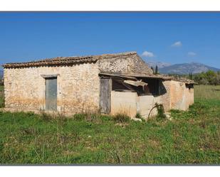 Land for sale in Selva
