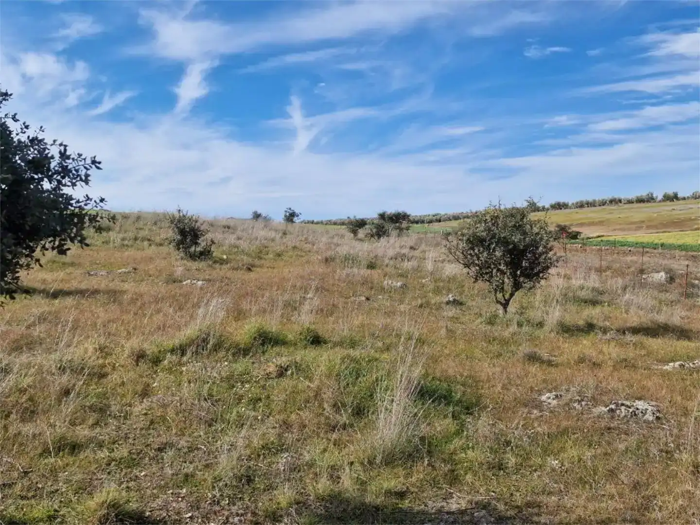 Land for sale in La Coronada, Badajoz